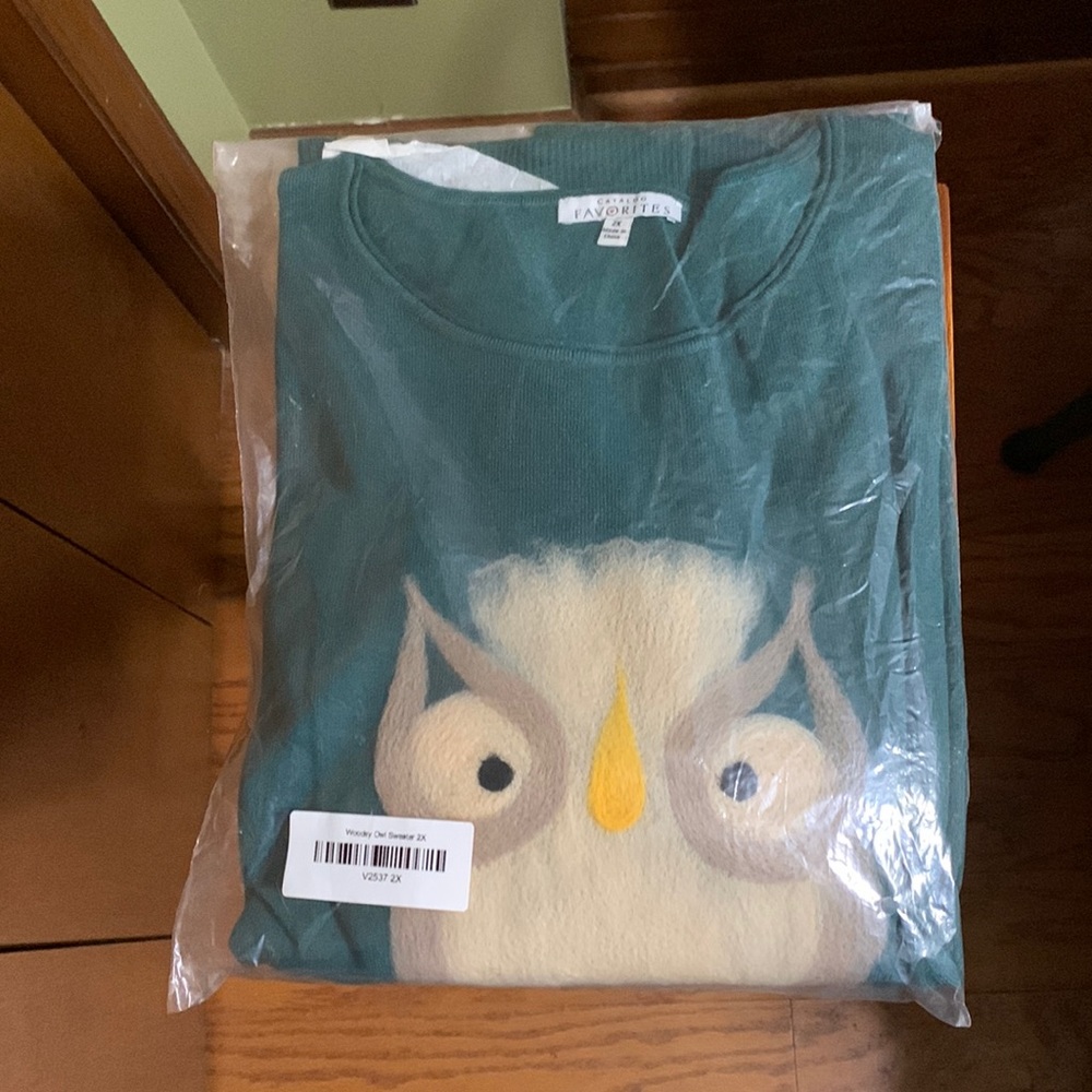 CATALOG FAVORITES- 🆕 WOODSY OWL 🦉 SWEATER (2X)